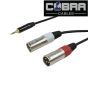 Cable 1 Jack 3.5 ST / 2X XLR Male 3 m.