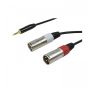 Cable 1 Jack 3.5 ST / 2X XLR Male 3 m.