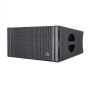 Atomic Pro Kira10 MKII  Top per Line Array 10"