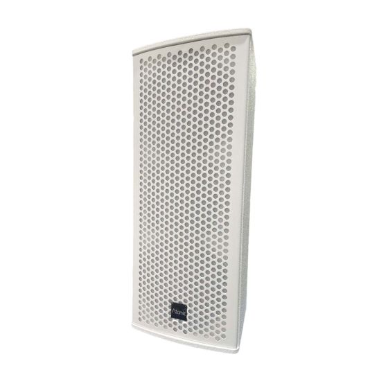 Atomic Pro HF62 2x6" Passive Wooden Speaker | White